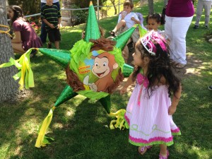 IMG_0478