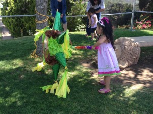 IMG_0486