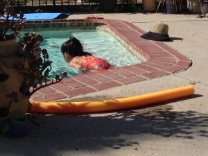 IMG_5894
