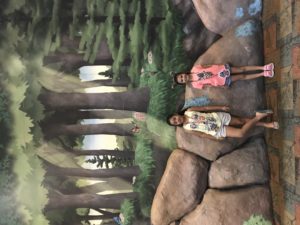 55DE093D-7881-4EBB-AE1E-8E2017D8EDD9